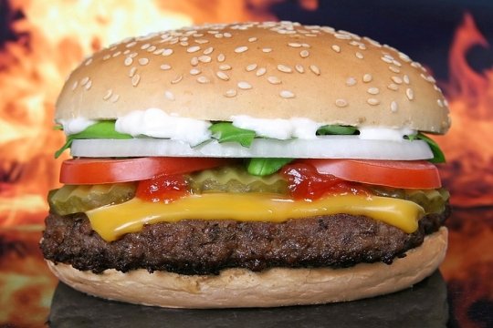 «Устойчивая говядина» для  McDonald's