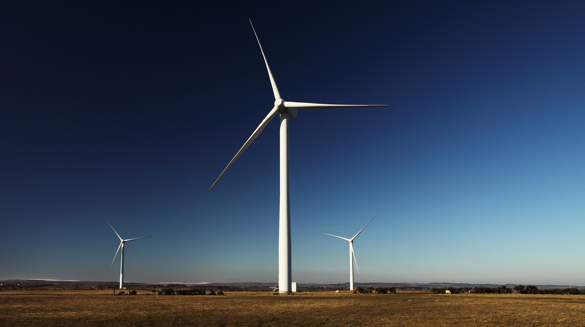 Итальянская энергетическая компания Enel вышла с новым инструментом на рынок зеленых финансов