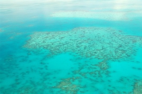 Теплый океан убивает кораллы Большого Барьерного Рифа