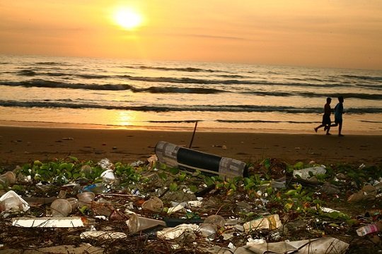 Глобальный бизнес обещает остановить «пластиковое загрязнение» планеты