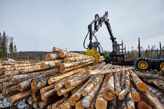 Segezha Group использует коптеры для контроля запасов древесины