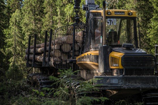 Segezha Group и Рослесинфорг договорились о партнерстве в освоении лесных богатств РФ