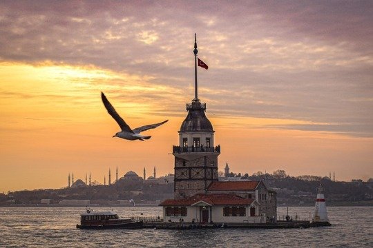 Совет по высшему образованию Турции изучил, как пандемия повлияла на вузы