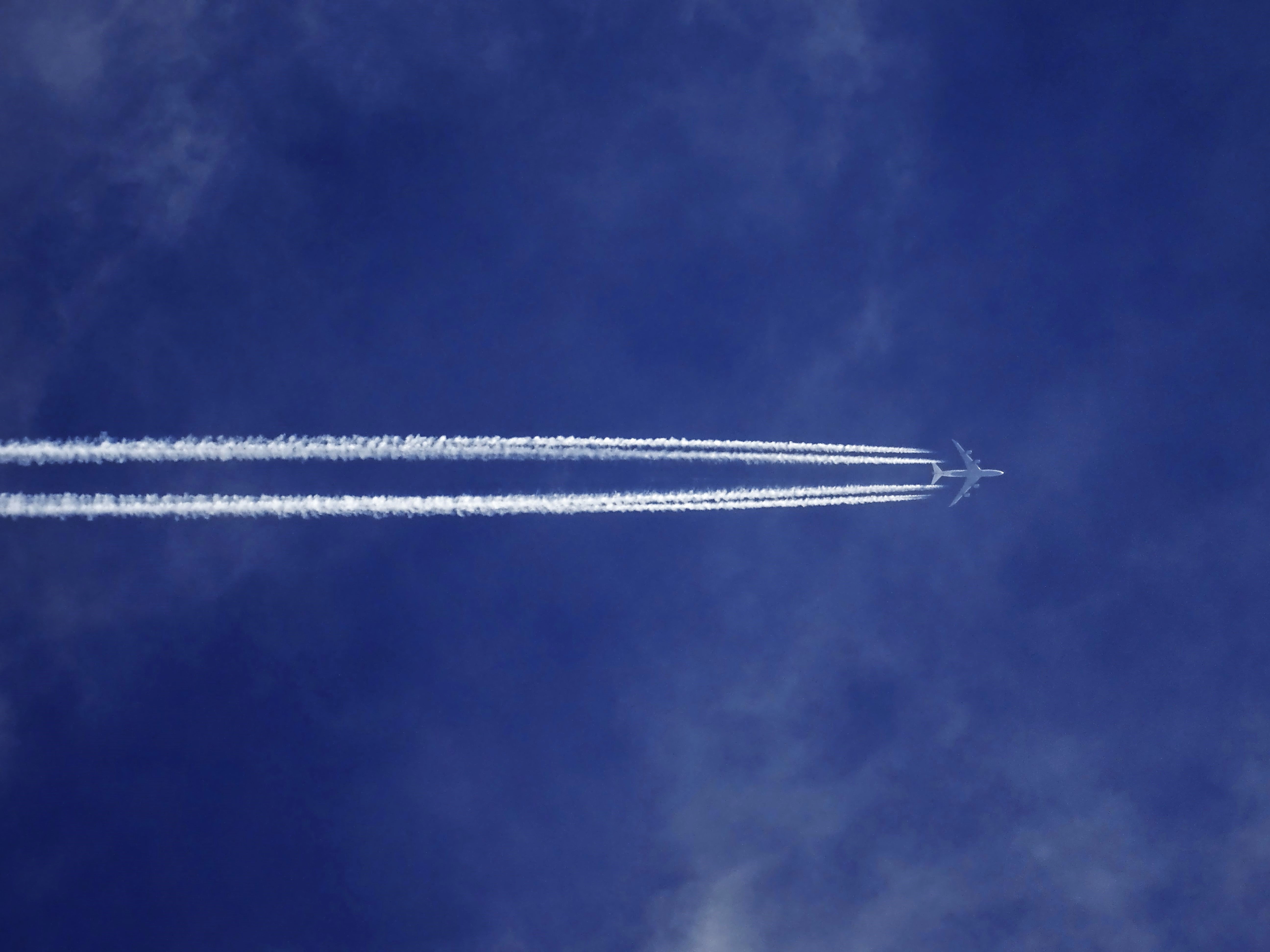 Бюджетные авиакомпании попросили Евросоюз дать им использовать эко-топливо