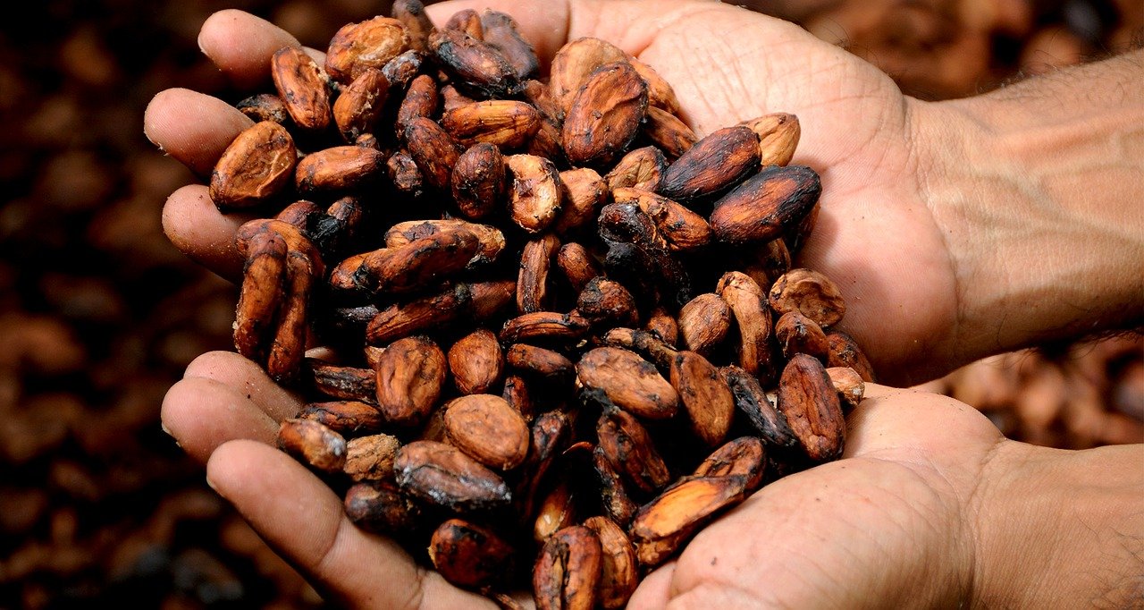 Холдинг Ferrero сделал свое какао на 100% соответствующим ESG-принципам