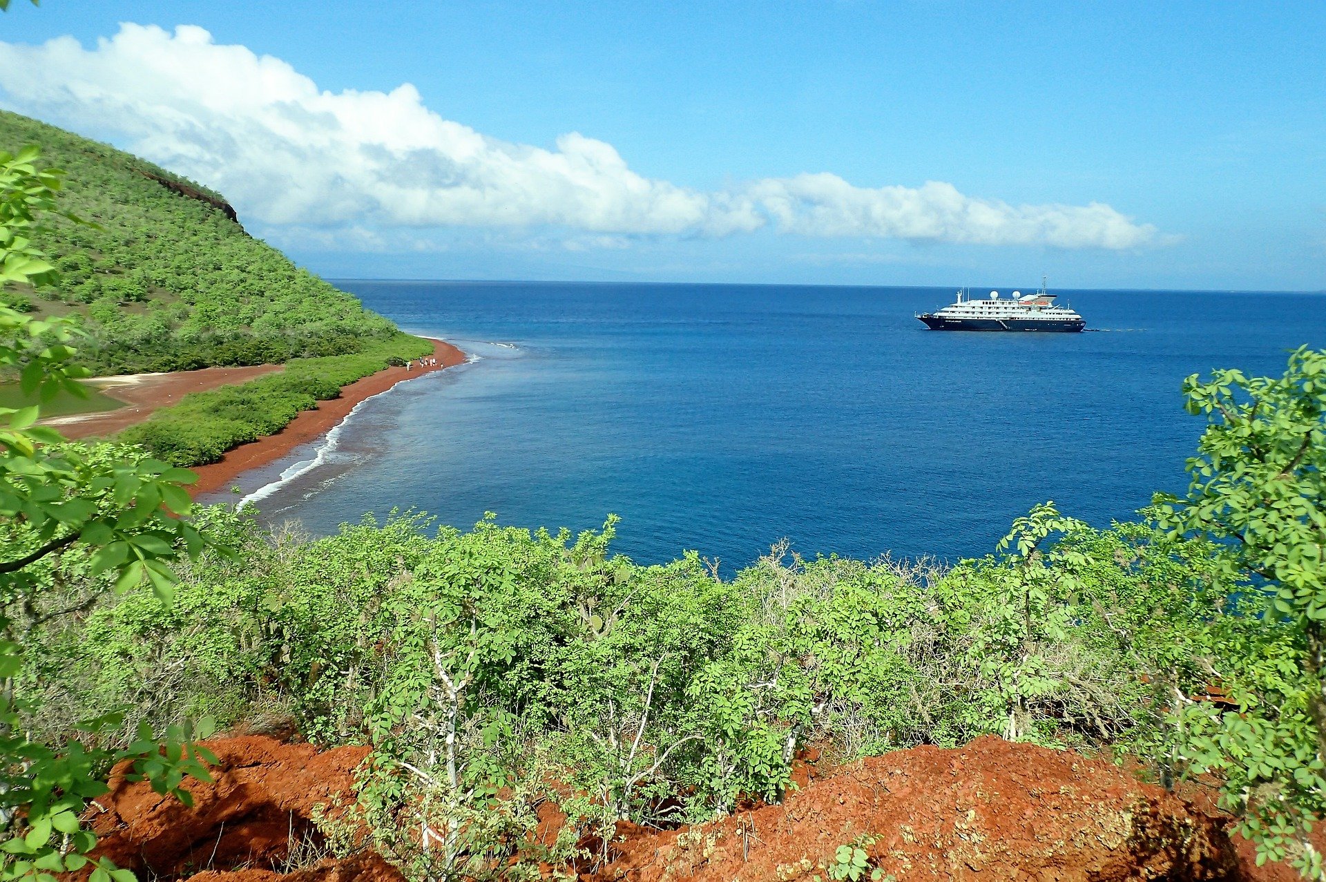 Ди Каприо отдаст 43 миллиона долларов на восстановление Галапагосских островов