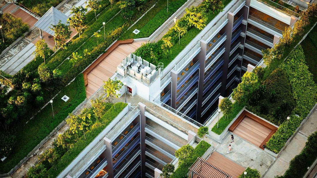 Швейцарский Базель стал первым городом в мире, сделавшим зеленые зоны обязательным требованием для новых зданий