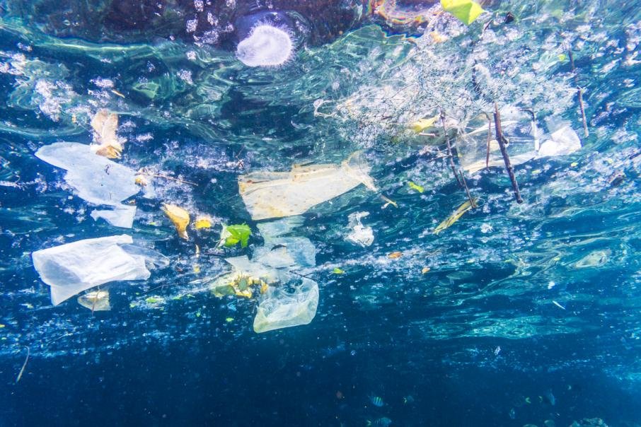 ООН: объемы пластикового мусора во время пандемии увеличились в четыре раза