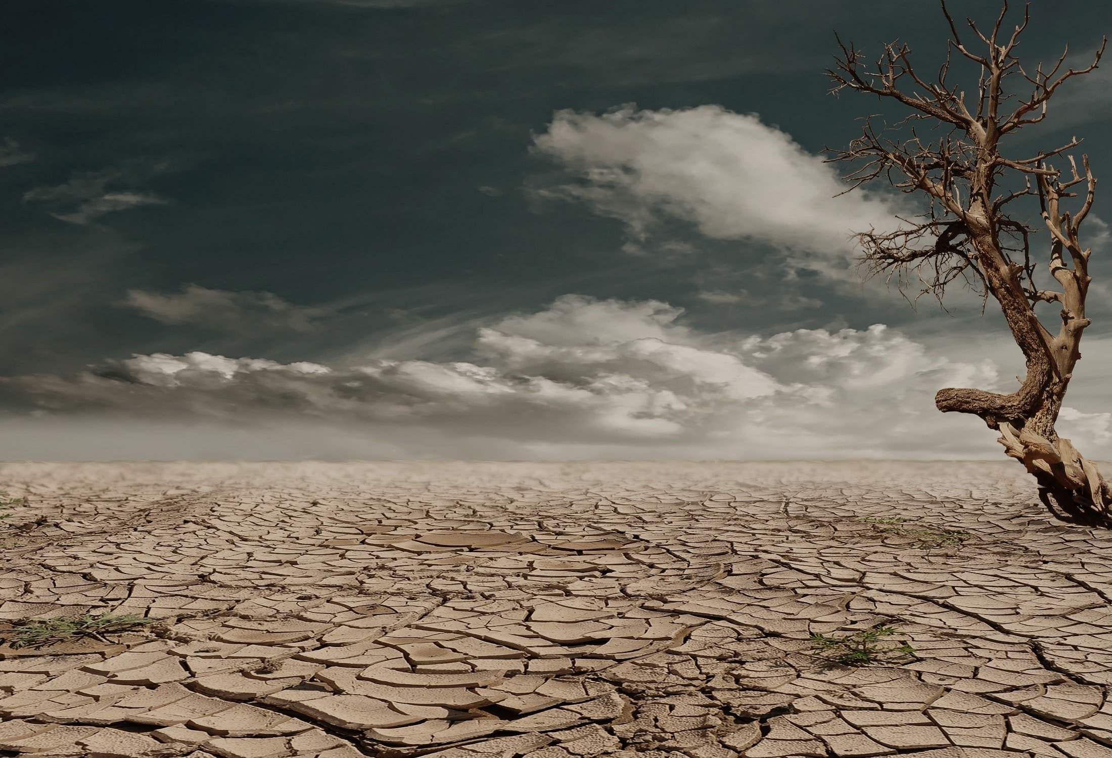 Как мир борется с засухой?