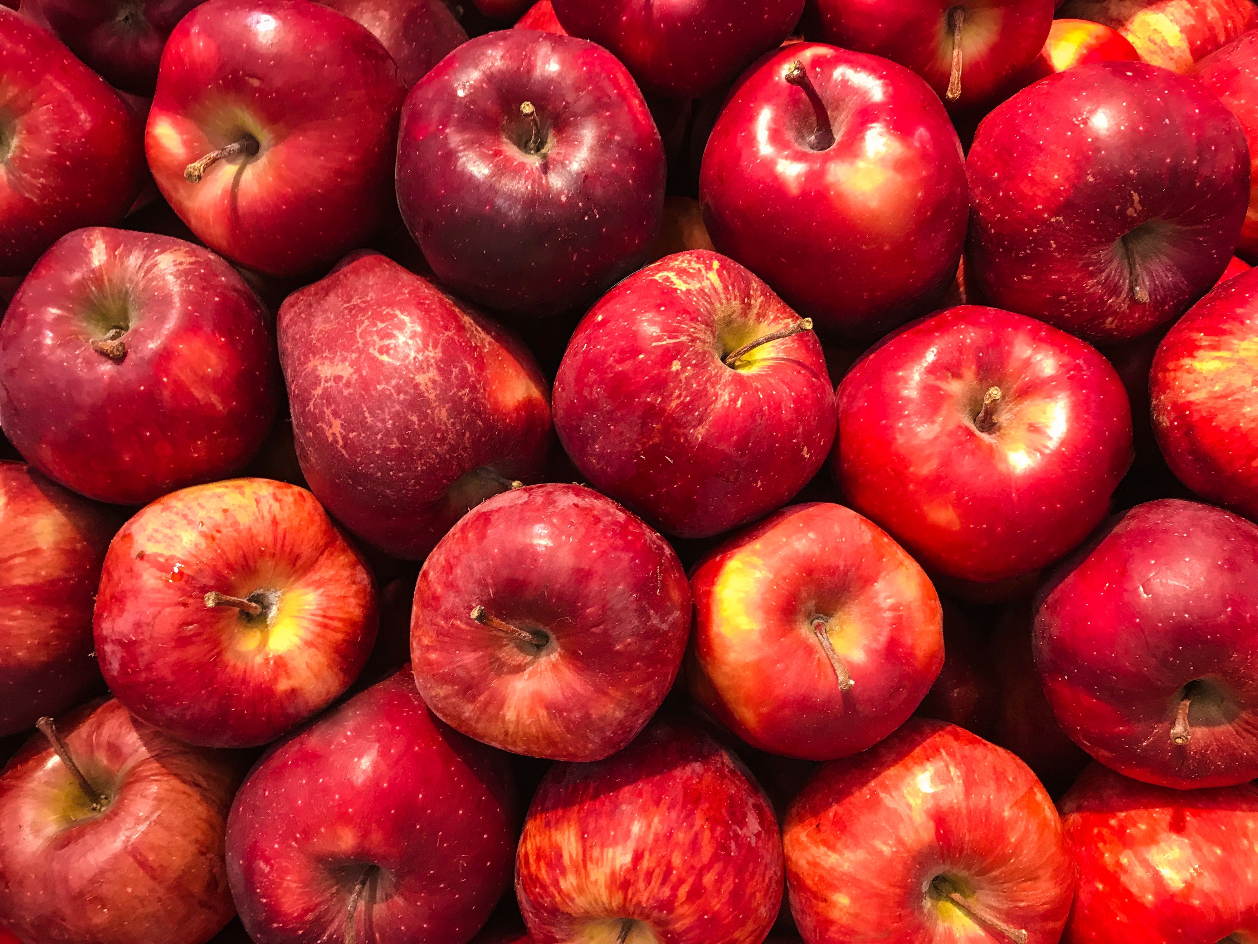 АНО «Фудшеринг» предложил Правительству Москвы передать лишние яблоки нуждающимся