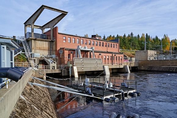 В 2020 году более половины электроэнергии Финляндия получила из возобновляемых источников