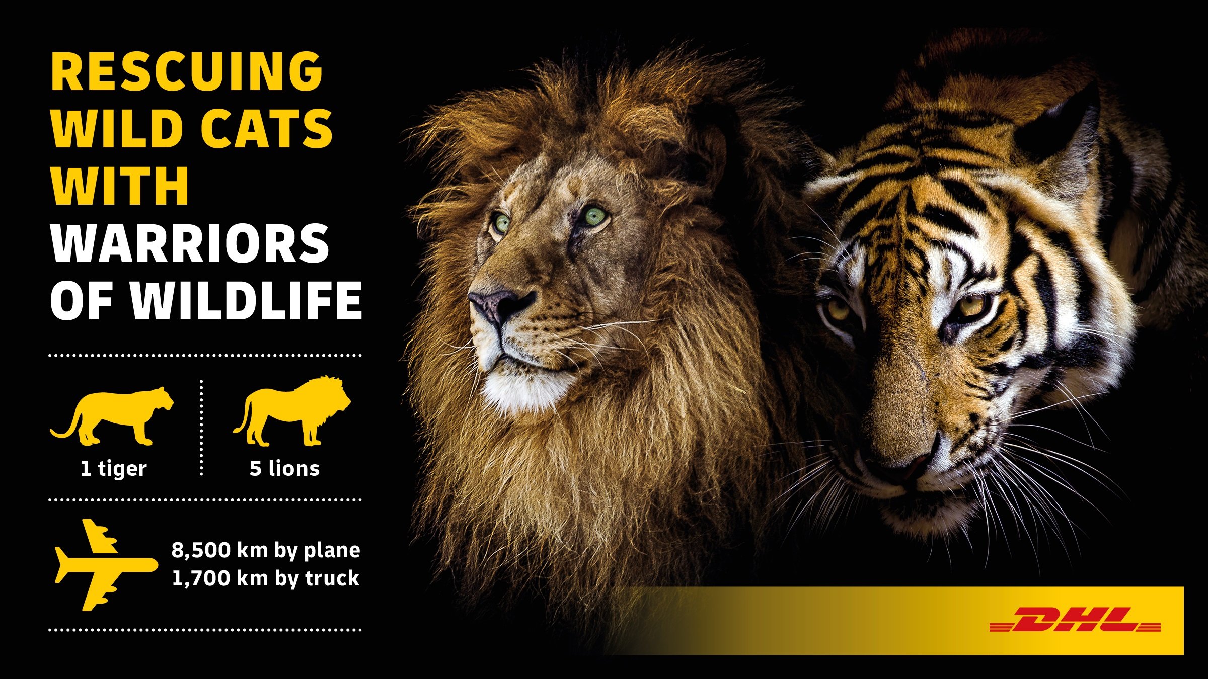 DHL поддержала организацию «Воины дикой природы»