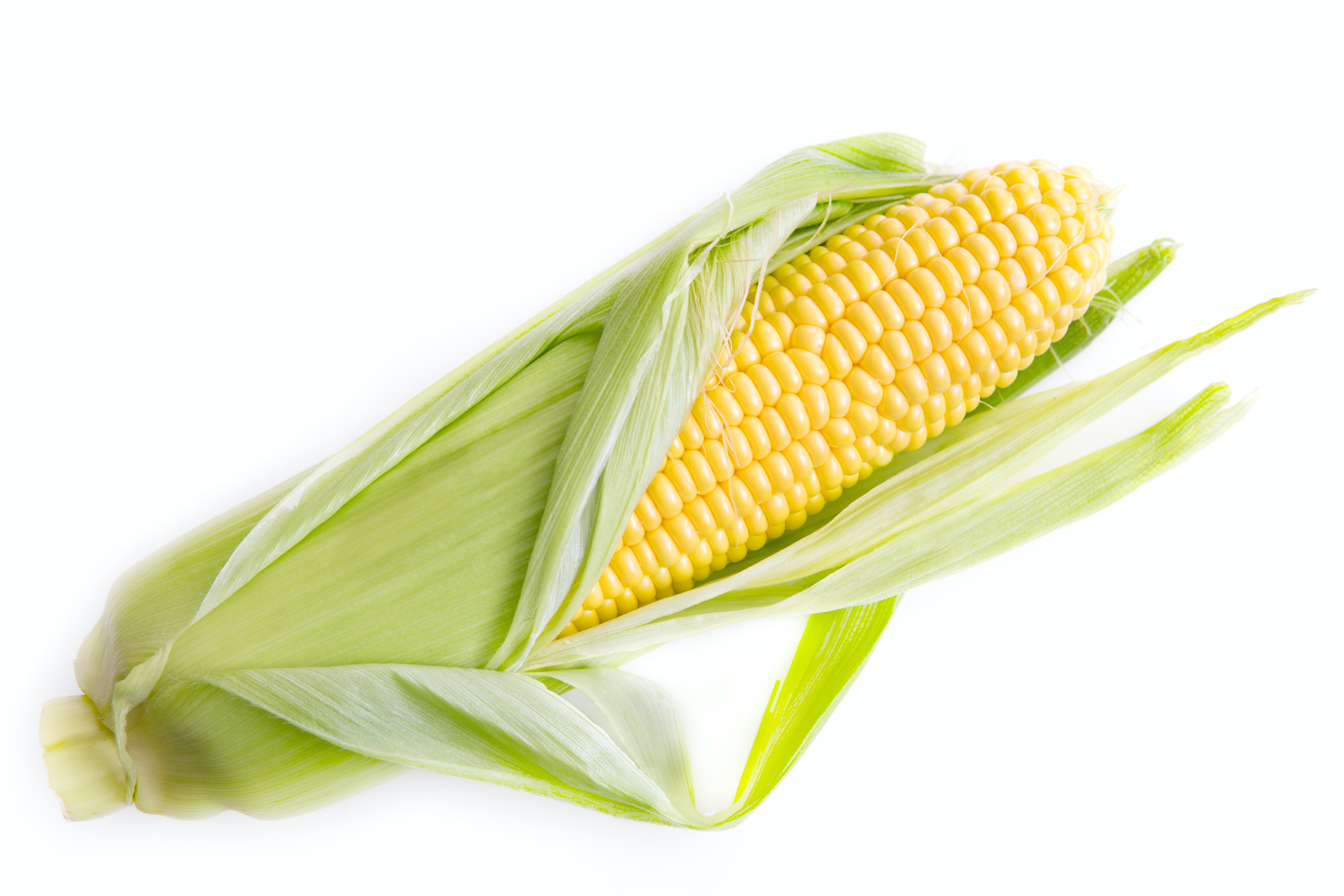 Учёные создали экологичную упаковку из кукурузы