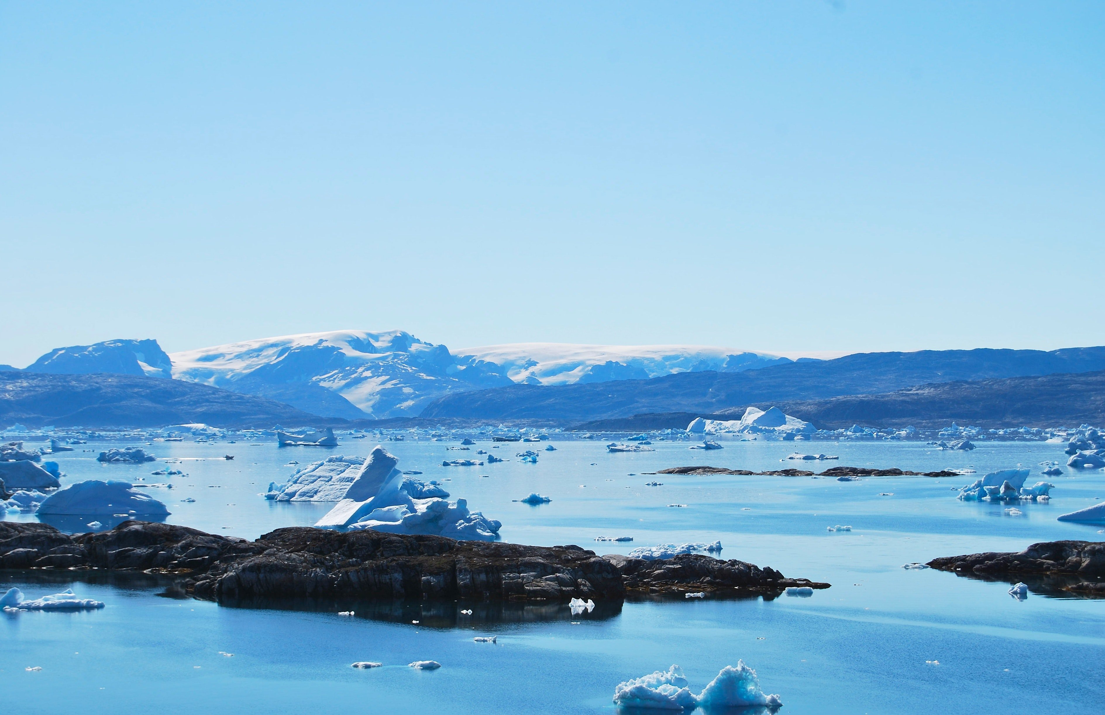 Эксперты обсудили устойчивое управление лесами в Арктике