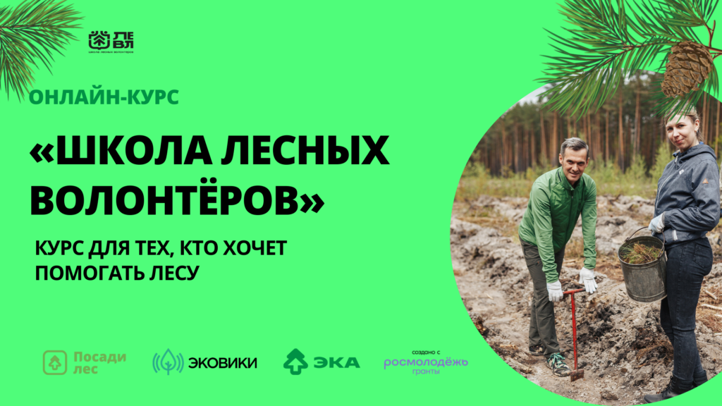 Платформа Ecowiki.ru запускает бесплатный онлайн-курс «Школа лесных волонтеров»