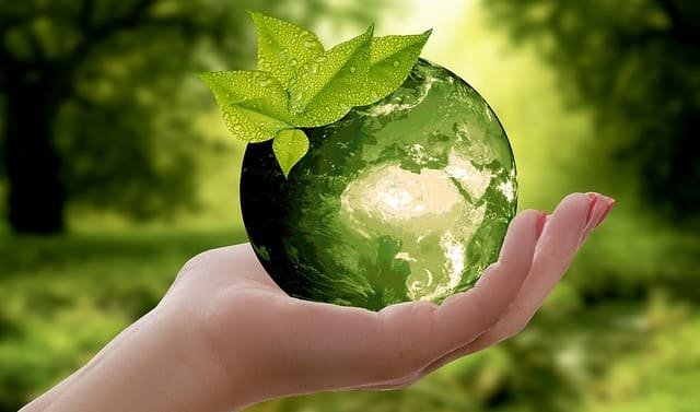 Движения ЭКА опубликовало сборник лучших проектов по экологизации вузов