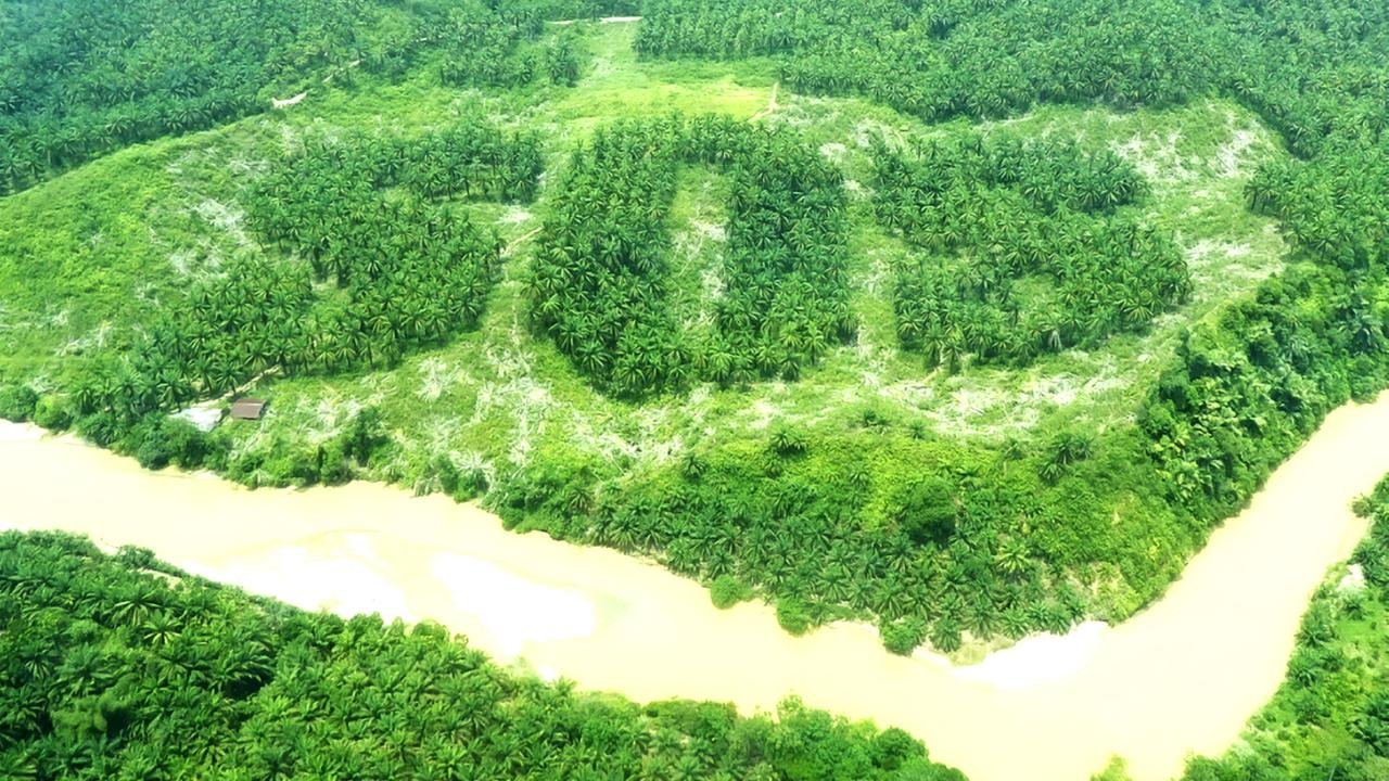 Коренные народы Амазонки призвали банки прекратить инвестировать в вырубку лесов