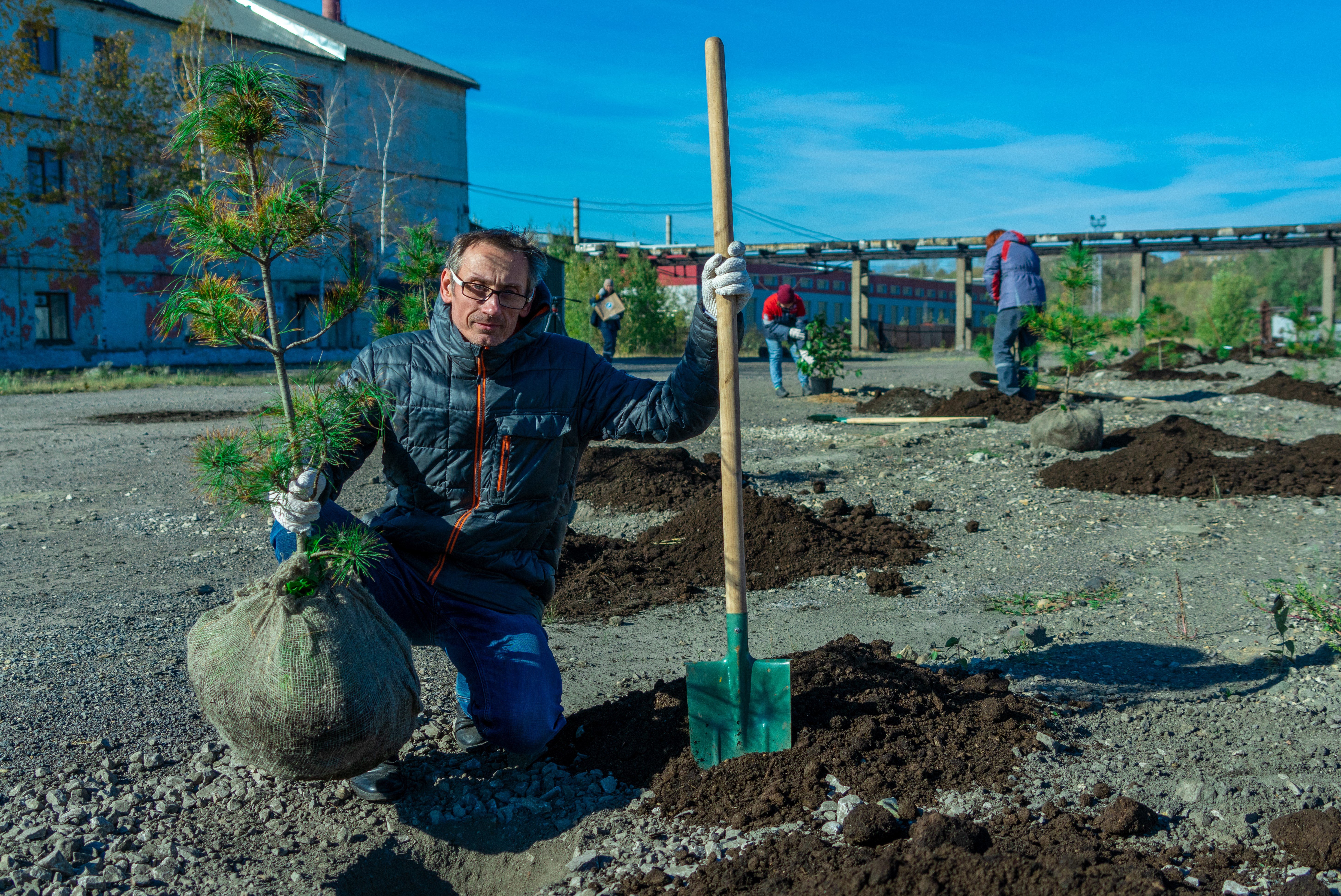 500 деревьев и кустарников высадили волонтеры экологического движения ОМК в Чусовом
