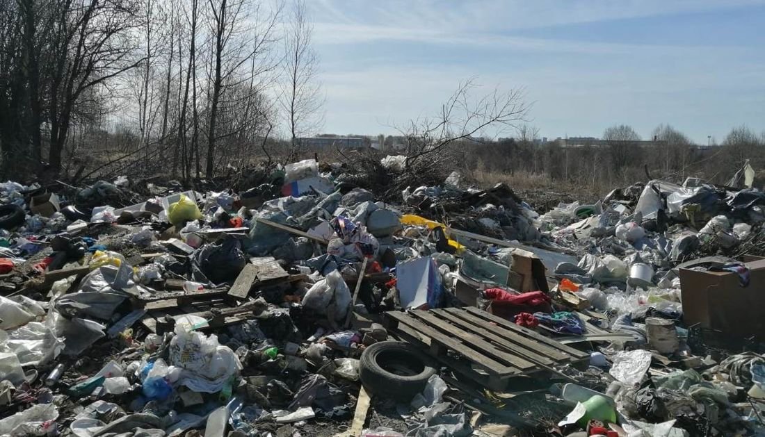Ущерб от ядовитой свалки в Ярославской области оценили в 2,7 млн рублей