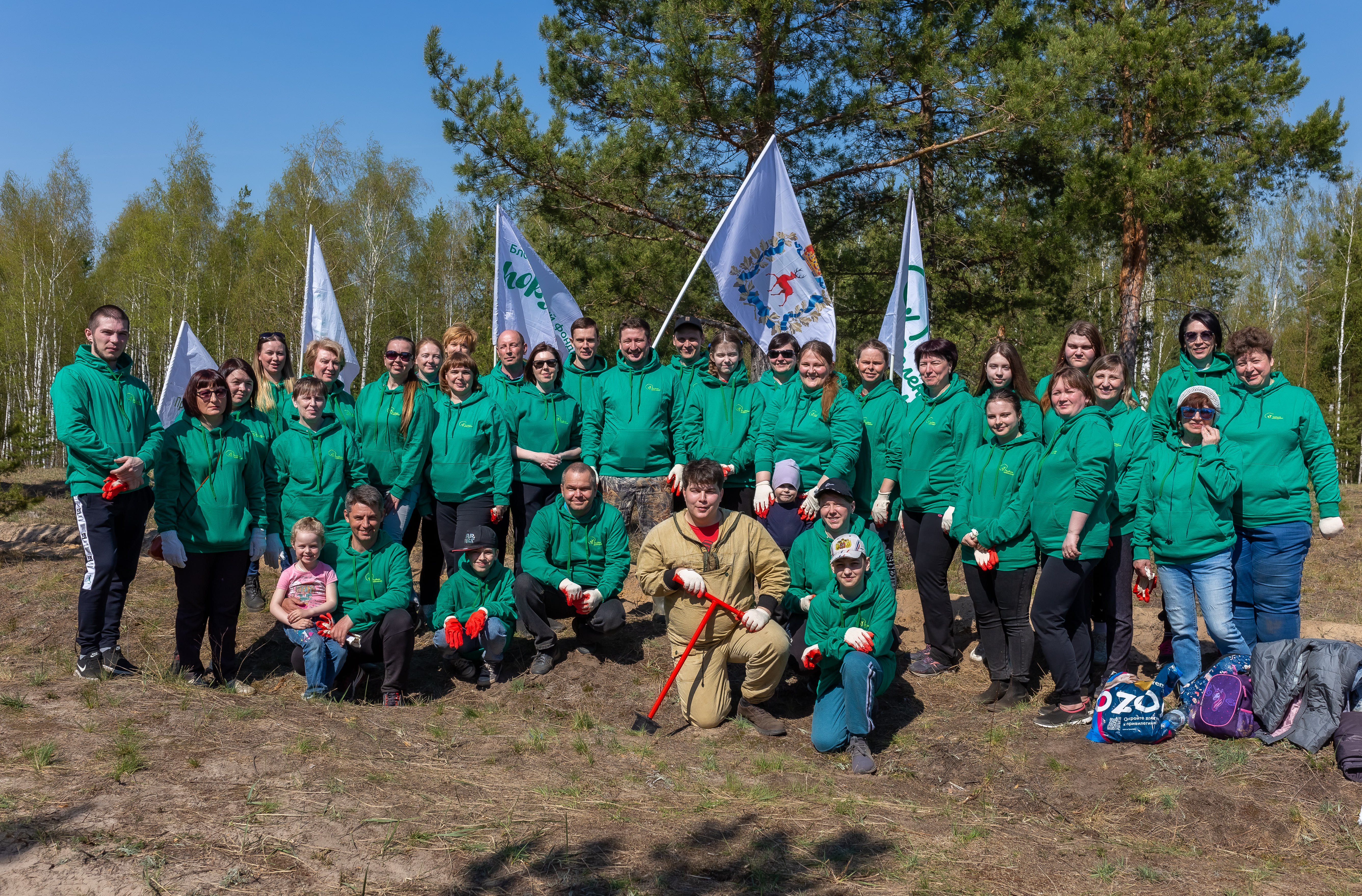 Фонд «Поколение Ашан» восстановил 1 гектар леса в Дзержинском городском лесничестве