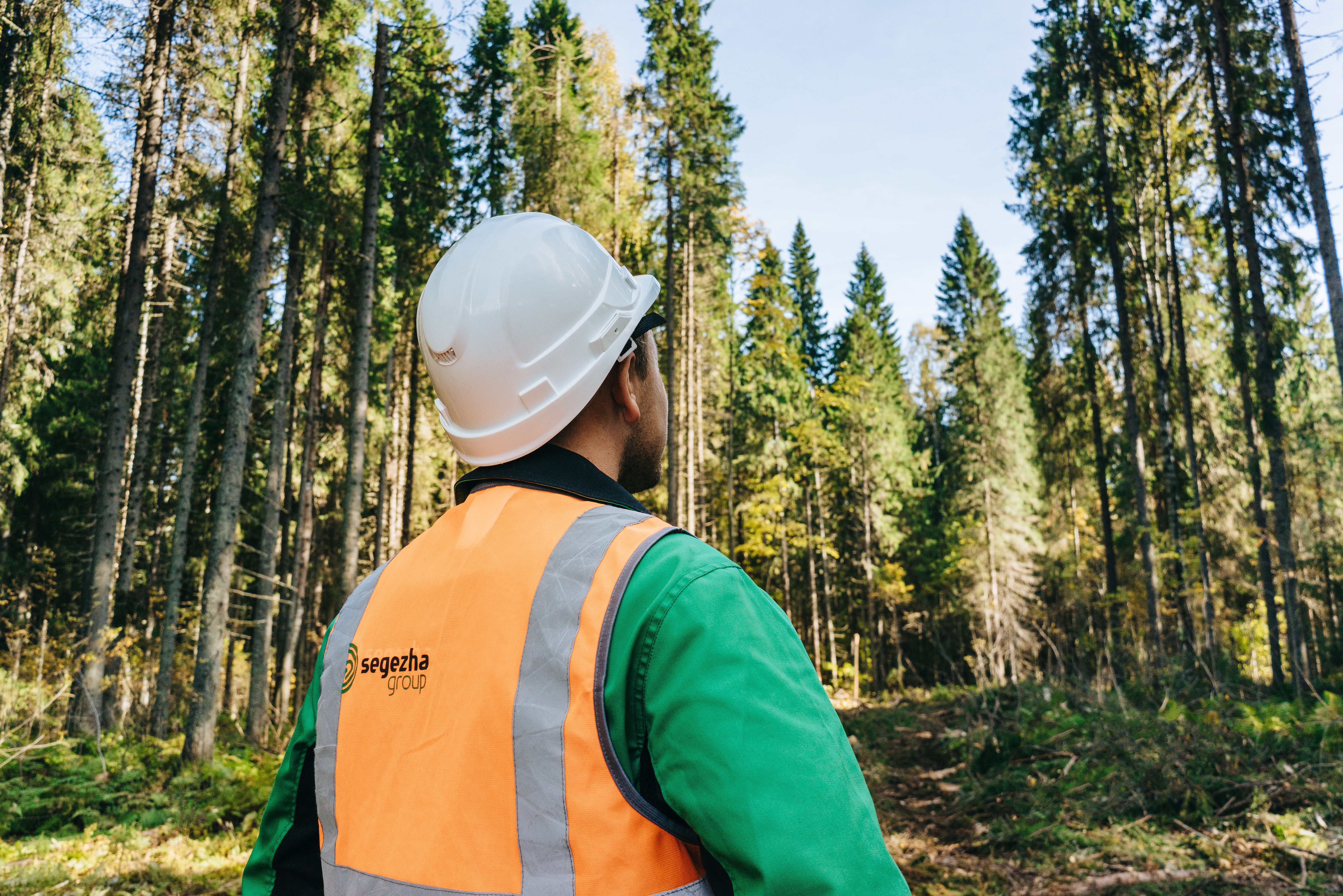 Эксперт Segezha Group выступил за отечественную систему добровольной лесной сертификации