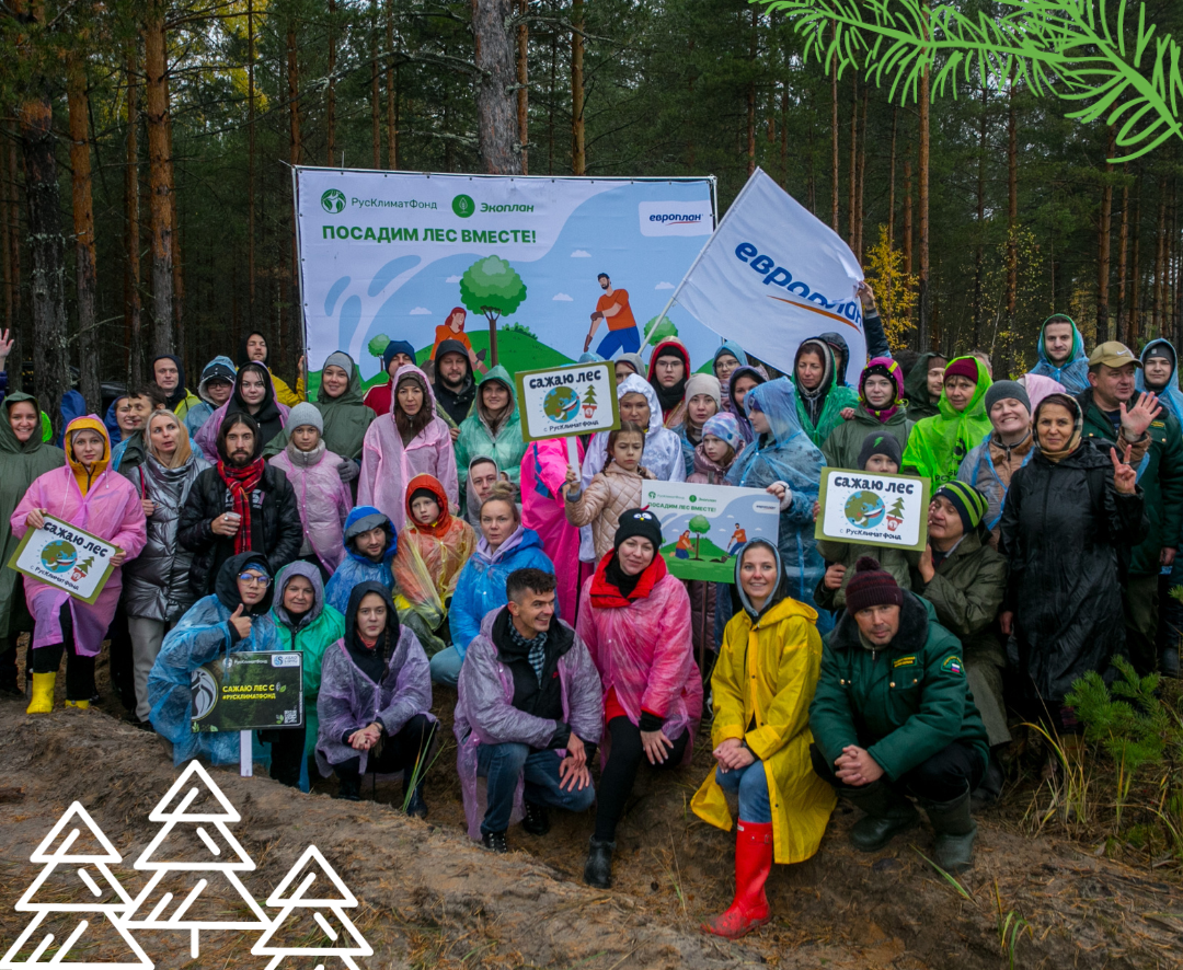 Акция по восстановлению леса во Владимирской области